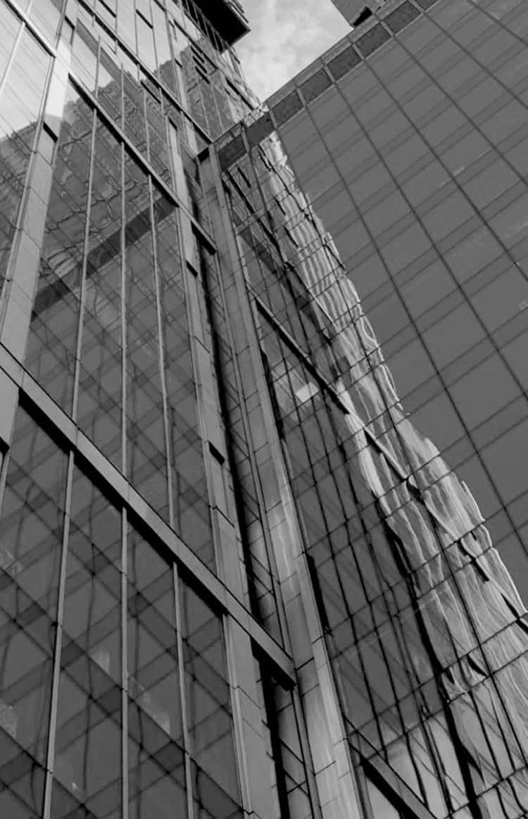 Network-of-business-leaders